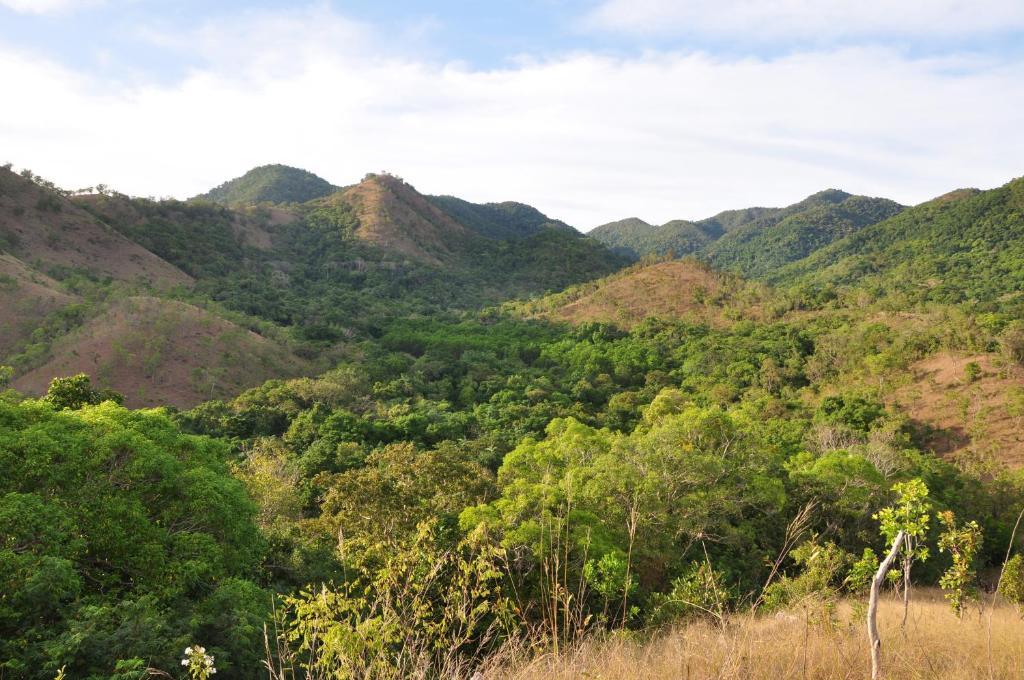 Busuanga Island Paradise Exterior foto